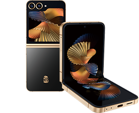 三星W25Flip 示意图